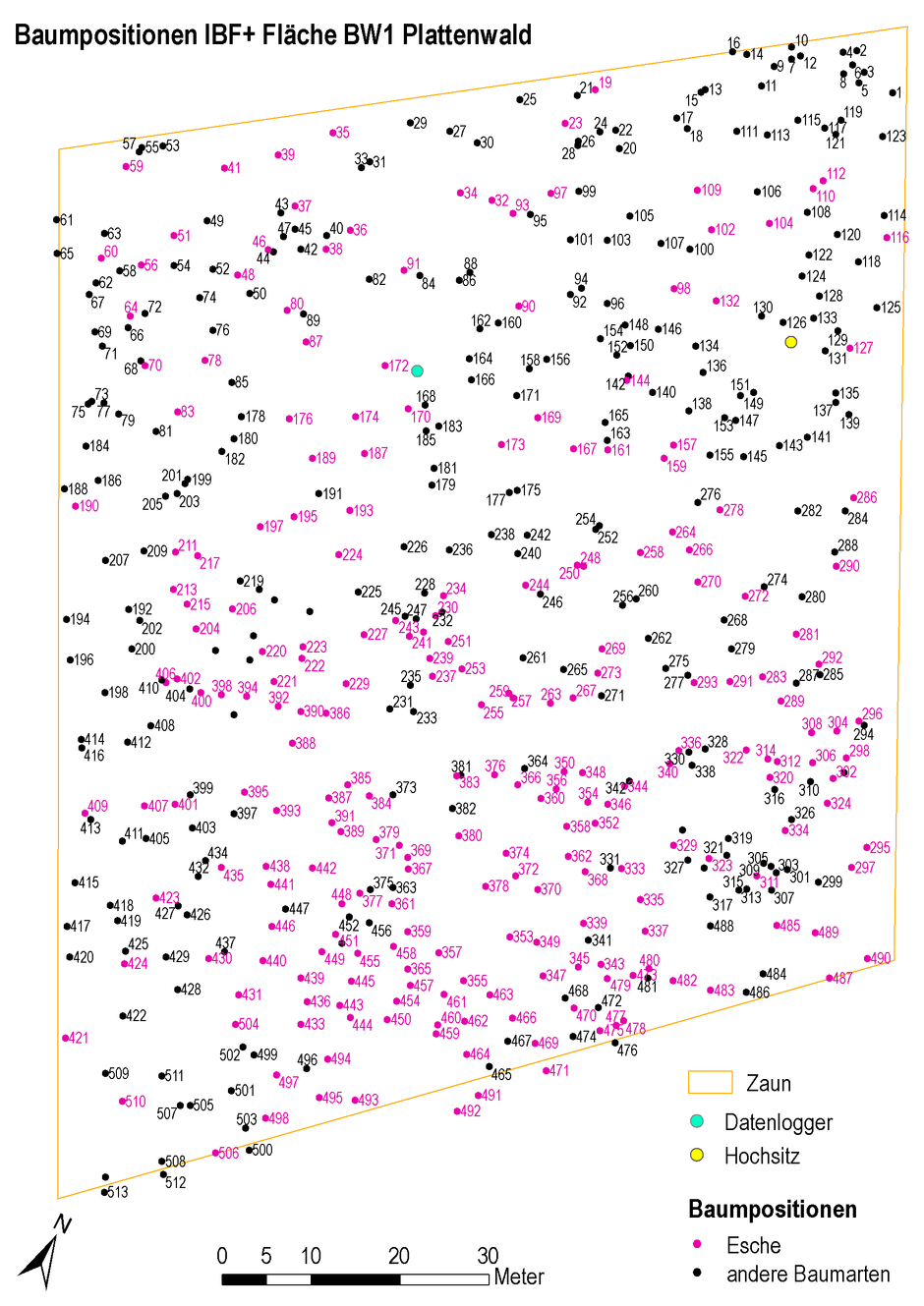 Das Foto zeigt die Stammfusskarte der Untersuchungsfläche Plattenwald in Baden-Württemberg. Die über 500 Bäume auf der IBF+-Fläche wurden einzelnd eingemessen und als Karte ausgegeben. In der Darstellung sind die Eschen farblich hervorgehoben. Außerdem sind der Zaun, der Datenlogger und ein Hochsitz zur Orientierung dargestellt. Mit dem Nordpfeil und der Skala können sich die Forschenden auf der Fläche orientieren.