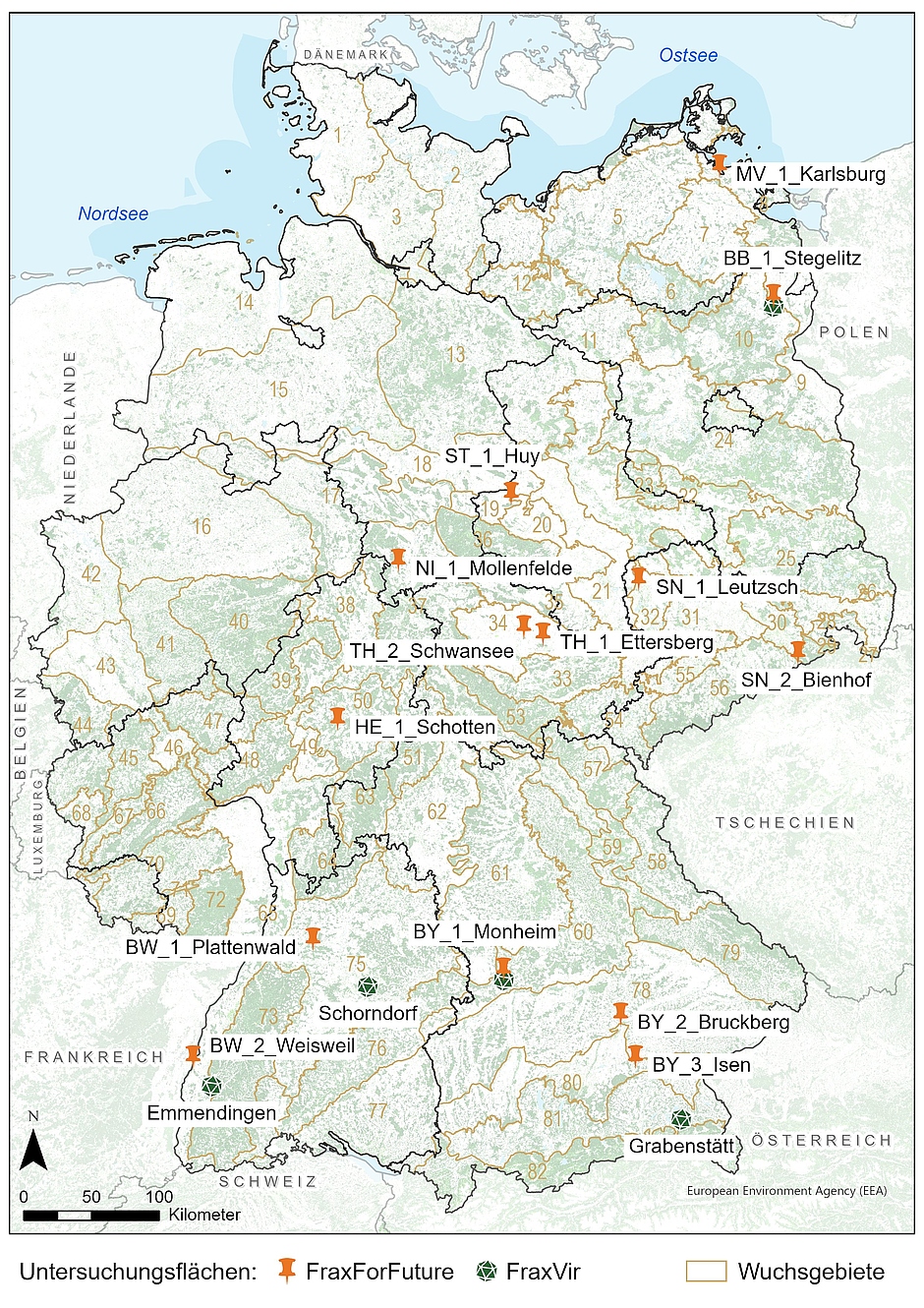 Übersichtskarte der Untersuchungsflächen in Deutschland. Insgesamt gibt es 14 FraxForFuture-Untersuchungsflächen, die vom Nord-Osten über die Mitte bis in den Süden Deutschlands verteilt sind. FraxVir arbeitet auf drei weiteren Flächen in Süddeutschland. 