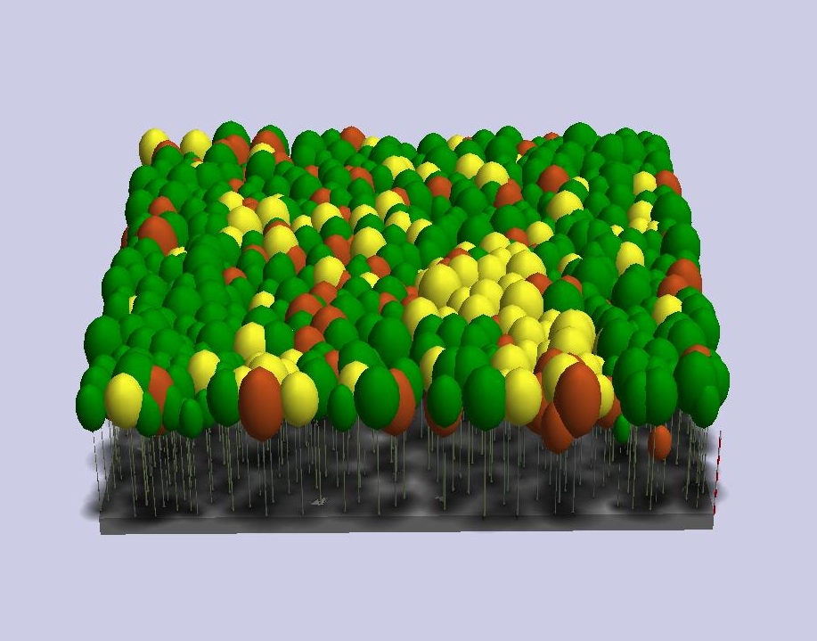 Schematische, dreidimensionale Darstellung eines Waldbstandes aus einer Computersimulation. In einem Flächenausschnitt sind drei Baumarten zu sehen, die farblich unterschiedlich gekennzeichnet sind.