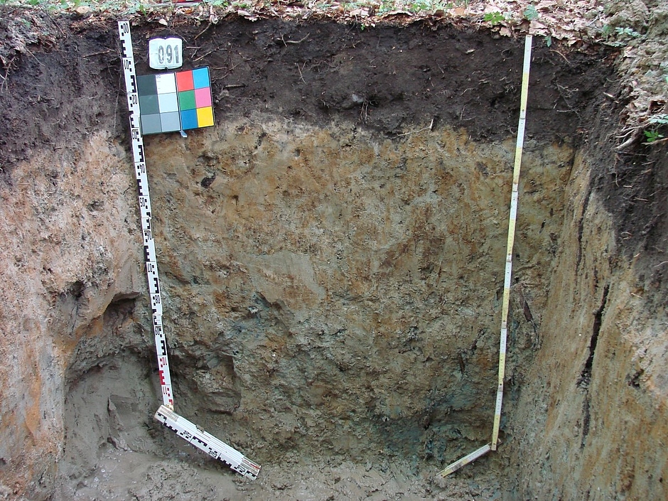 Das Bild zeigt von schräg oben ein ca. zwei Meter tiefes Loch im Boden, dessen Wände sorgfältig geglättet sind. In zwei Ecken stehen Zollstöcke, mit deren Hilfe man die Stärke der Bodenhorizonte messen kann. Oben links befindet sich eine Farbtafel zur Identifizierung der Farben im Foto. Auffällig ist ein dunkelbraun-schwarzer, ca. 30 cm starker Streifen im oberen Bereich direkt unter der Bodenoberfläche. Scharf abgegrenzt schließt sich ein ocker-braun-grau unregelmäßig mellierter Bereich bis auf den Boden der Grube an. Bodenkundler:innen können aus diesem Bild die Bodenart bestimmen.