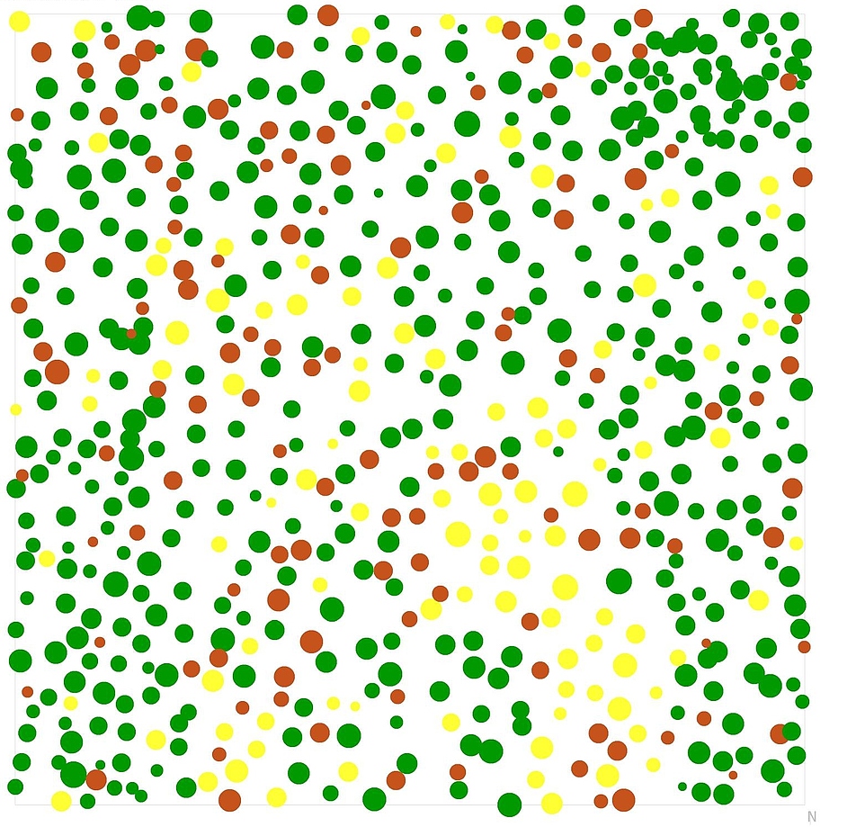 Draufsicht auf einen Waldbstand aus einer Computersimulation generiert. In dem Ausschnitt einer virtuellen Bestandeskarte sind drei Baumarten zu sehen, die farblich unterschiedlich gekennzeichnet sind. Es handelt sich um dieselbe Simulation wie links.