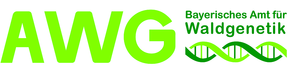 Logo Bayerisches Amt für Waldgenetik Logo Bayerisches Amt für Waldgenetik