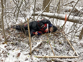 Auf dem Waldboden ist ein 1x1 Meter Quadrat gekennzeichnet. Dahinter liegt eine Person am Boden und misst mit Hilfe eines Meterstabs die Jungpflanzen im Quadrat.