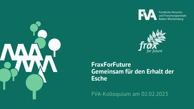 Titelfolie des FVA-Kolloquiums am 02.02.23 zum Thema FraxForFuture - Gemeinsam für den Erhalt der Esche.